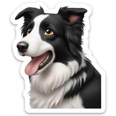 border collie sticker