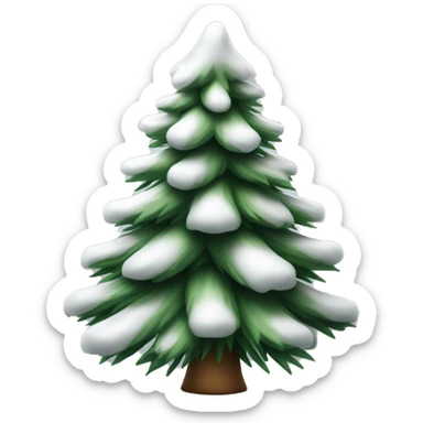  actual white fir christmas tree isolated.  sticker