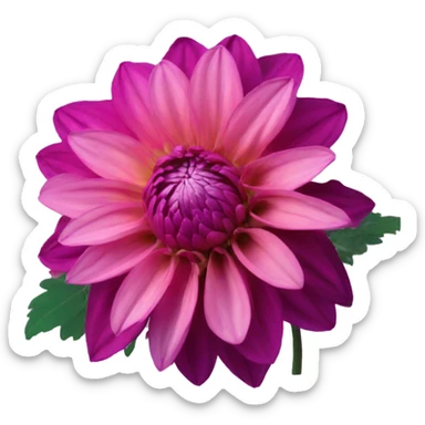 Dahlia flower sticker