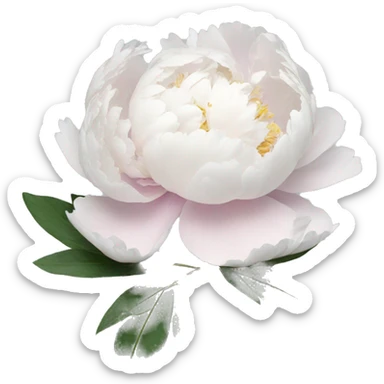 Peony white sticker