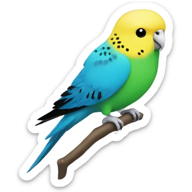 budgie with a green and black body and a yellow head with at blue nose sticker