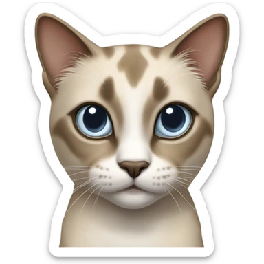 Thai breed realistic adult cat with a light cream -brown body, dark gray-brown face, ears, and paws. Short fur, sharp ears, striking light blue eyes  sticker