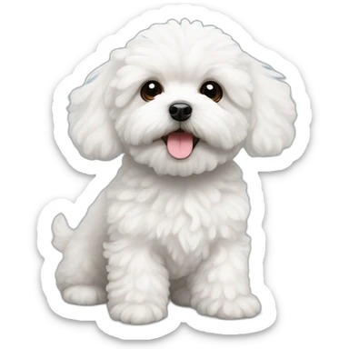 white maltipoo with a light blue snowflake on the nose sticker