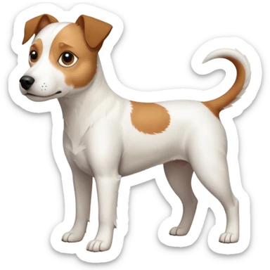 a full body slightly chubby white parson russell terrier looking dog the size of a kelpie with light brown long ears and a light brown patch on one eye and a large snout sticker