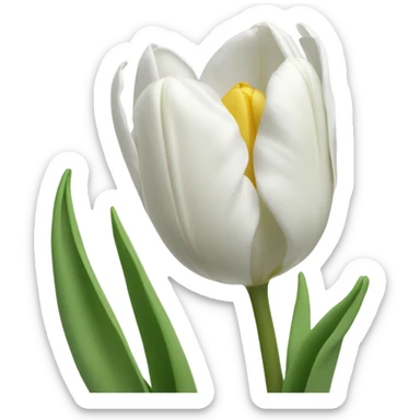 White tulips sticker