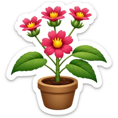 
Broto de planta de flor vermelha sticker