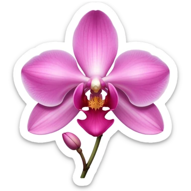 Baby pink orchid flower  sticker