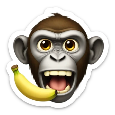 Angry monkey eating banana sticker