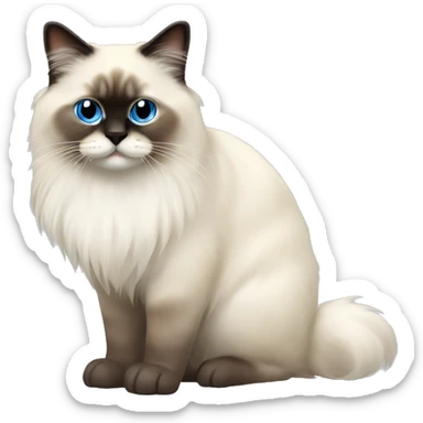 Full body birman cat long fluffy fur  sticker