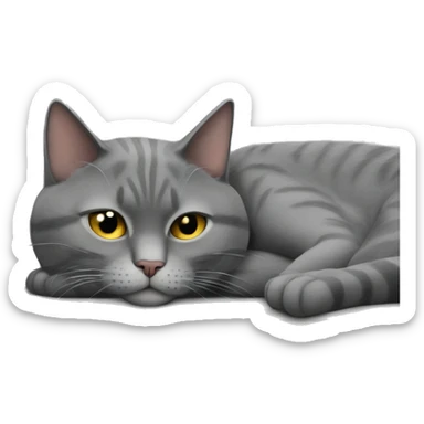 gray cat lies on the sofa and sleeps sticker