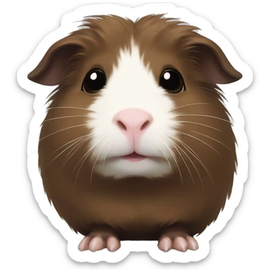 cute dark brown Guinea pig with thin white line fur between eyes sticker