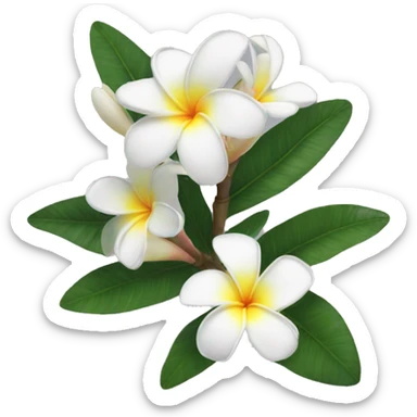 white frangipani  sticker