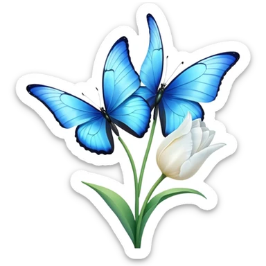 White tulip and blue morpho sticker