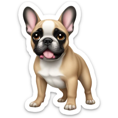Fawn French bulldog with black face sticker