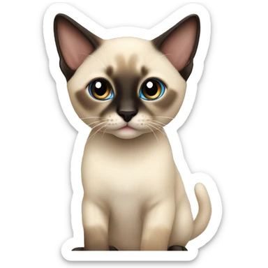 Young siamese mixed kitten sticker