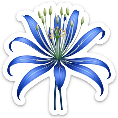 Blue spider Lily  sticker