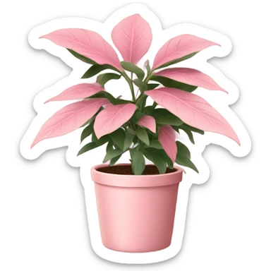 Pink plant in pale pink pot sticker