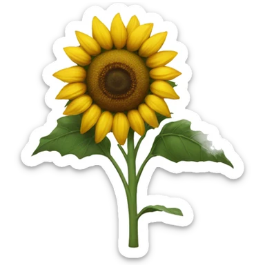 Sunflower  sticker