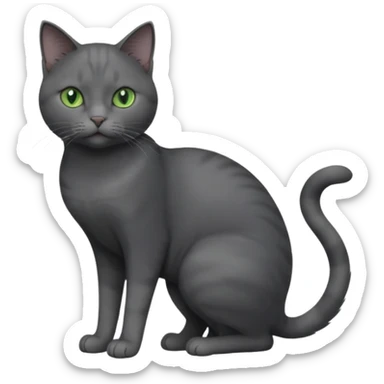 full body view of beautiful female solid dark grey cat with green eyes, grey face, white toes/paws and small white patch on her chest sticker