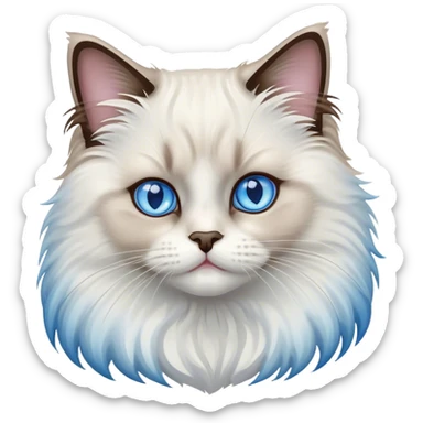 Ragdoll cat  sticker