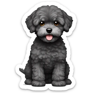 Charcoal gray maltipoo sticker