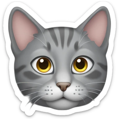 gray cat peaking between sticker