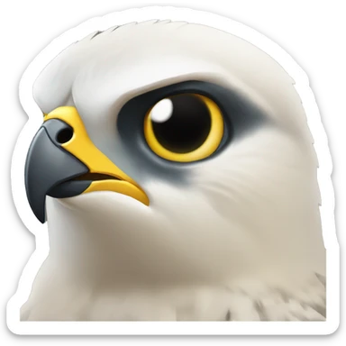 peregrine falcon with ht sticker