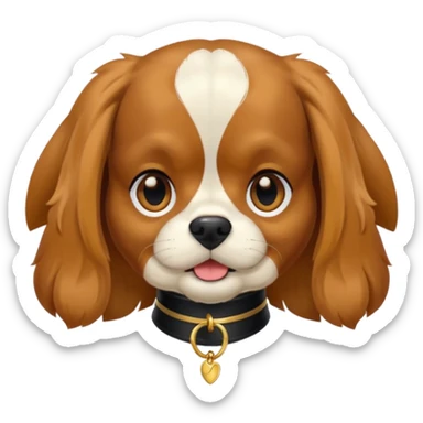 Brown and black cavalier dog sticking out younger with a gold collar sticker