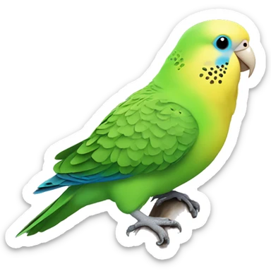 a fat green budgie with a yellow head and blue nose sticker