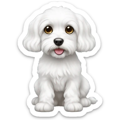 white cavachon sticker