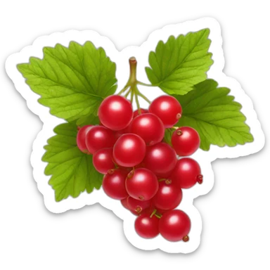 red currant sticker