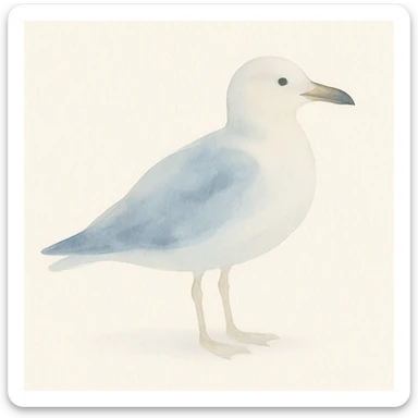 soft watercolor effect seagull, gentle blue and white tones sticker