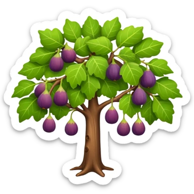 fig tree  sticker