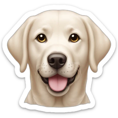 Labrador avec 2 bichons sticker