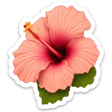 Hibiscus sticker