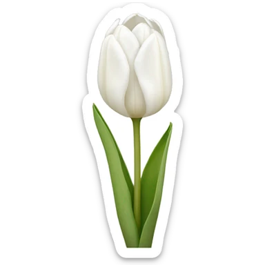 White tulips  sticker