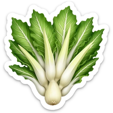 Belgian endive sticker