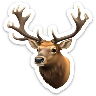 6 point bull elk sticker