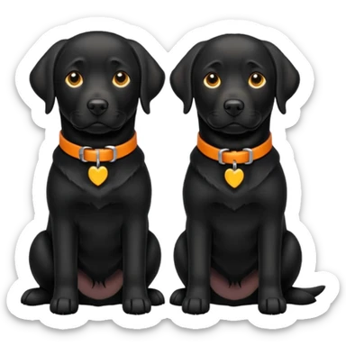 2 black labradors, yellow and orange collar sticker
