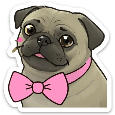 Pug wearing a pink bow  sticker