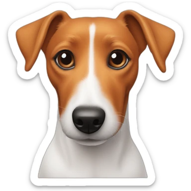 Jack russel and teckel mix fully orange only belly is white sticker