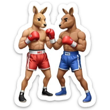 A kangaroo in a boxing ring with Mike Tyson sticker