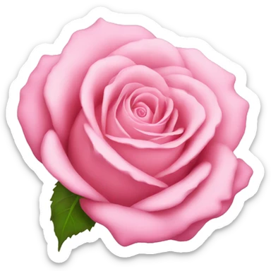 pink rose sticker
