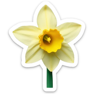 daffodil flower sticker