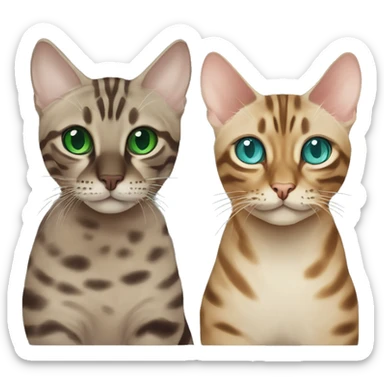 Seal Bengal cat with Blue eyes + charcoal Sepia bengal cat with Green eyes sit Next to each other  sticker
