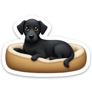 Black dog cuddling up in a dog bed sticker