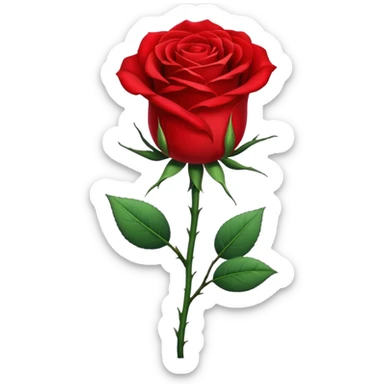 plus long rose sticker