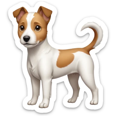 a full body slightly chubby white parson russell terrier looking dog the size of a kelpie with light brown long ears and a light brown patch on one eye and a large snout. the rest of the dog is completely white sticker