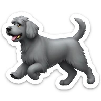 Gray Bouvier des Flanders with a docked tail and cropped ears running toward me sticker