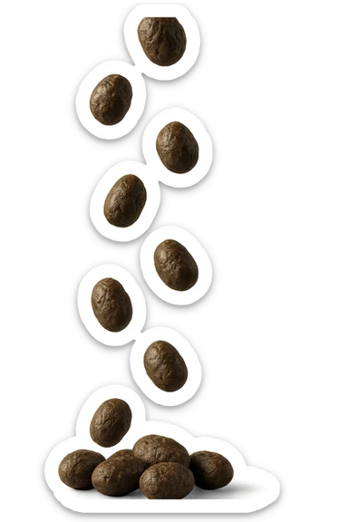 FECI DI ANIMALE A PALLINI CADONO DALL'ALTO, IPERREALISTICO 4K sticker